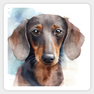 Watercolor Dachshund Black and Brown Portrait Sticker